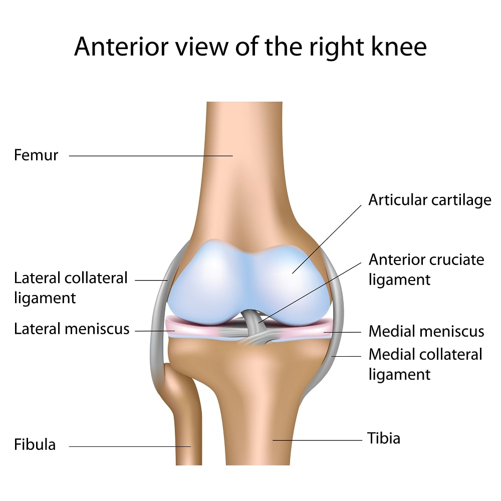 knee joint dubai